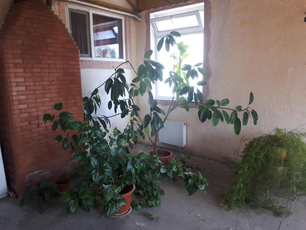 Vitalie Chişinău Esterno foto